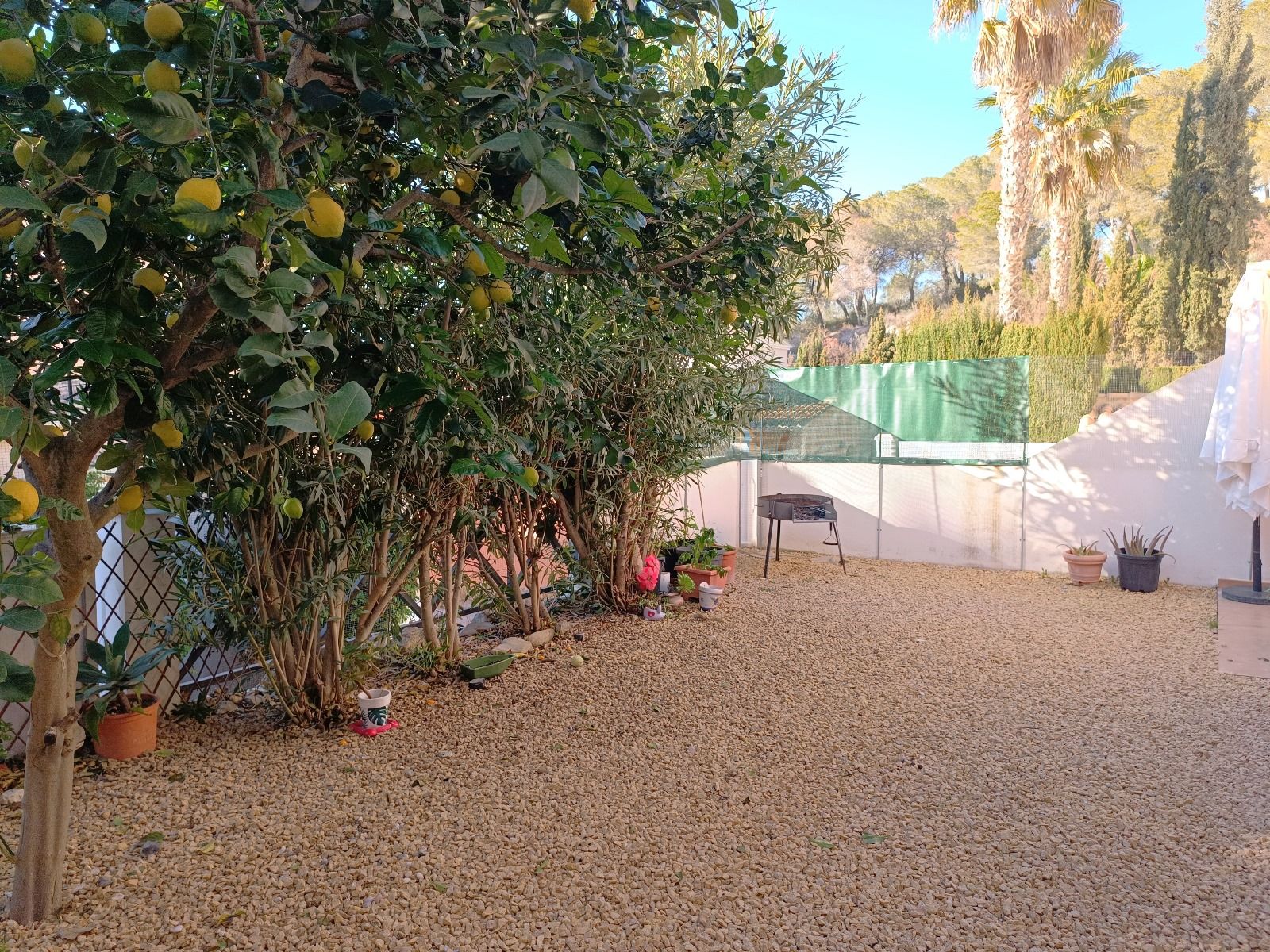 Semi-detached bungalow in Calpe — photo 7