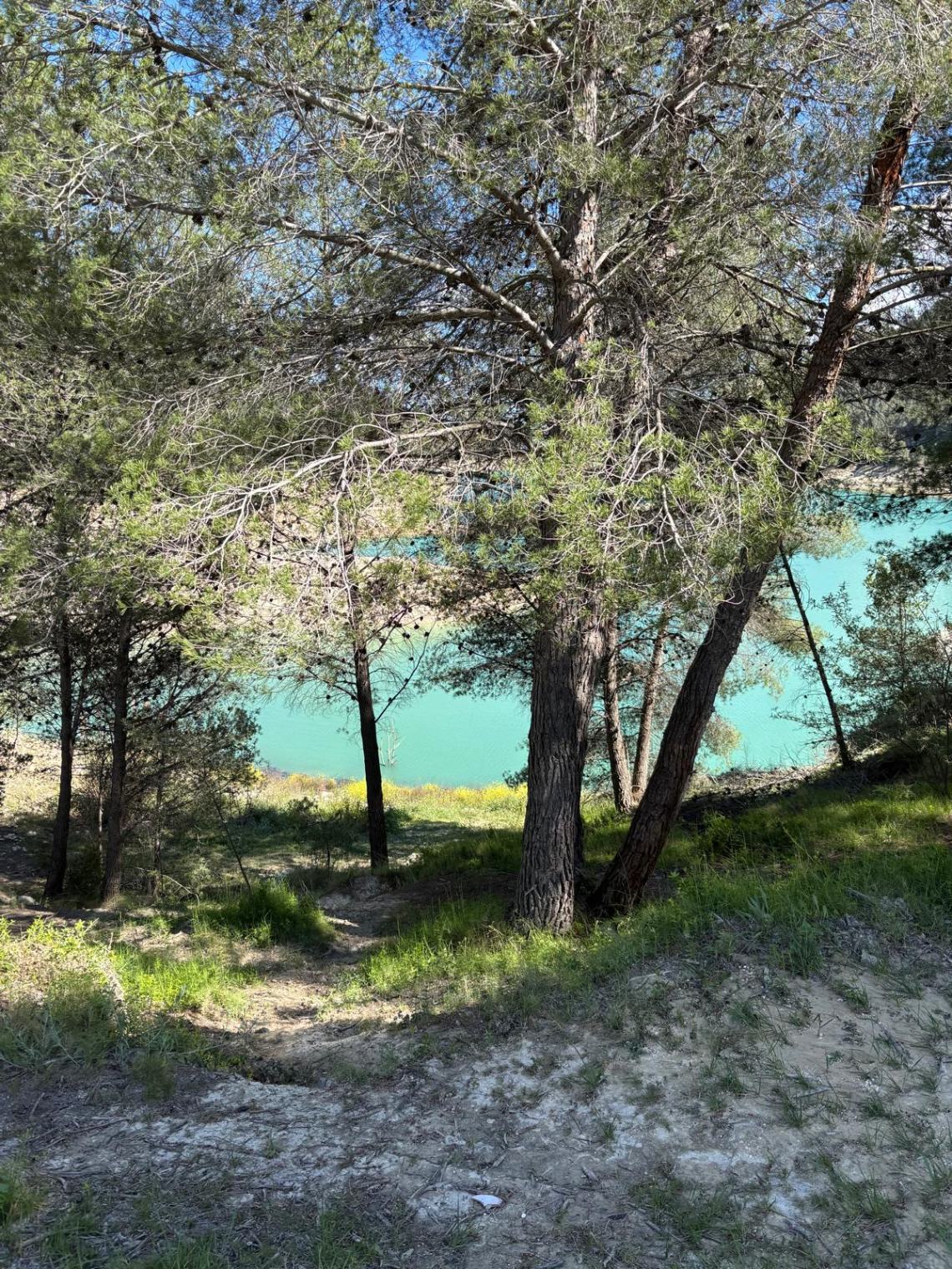 Land for Sale in Guadalest, Alicante - 12,000 m²