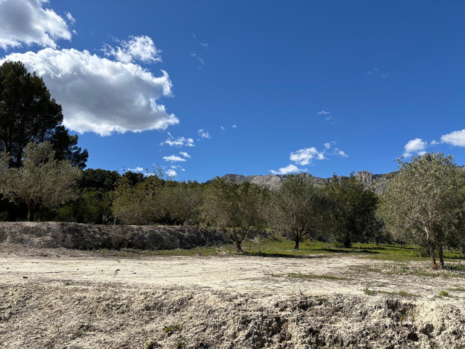 Terreno in vendita a Guadalest, Alicante - 12.000 m² — foto 11