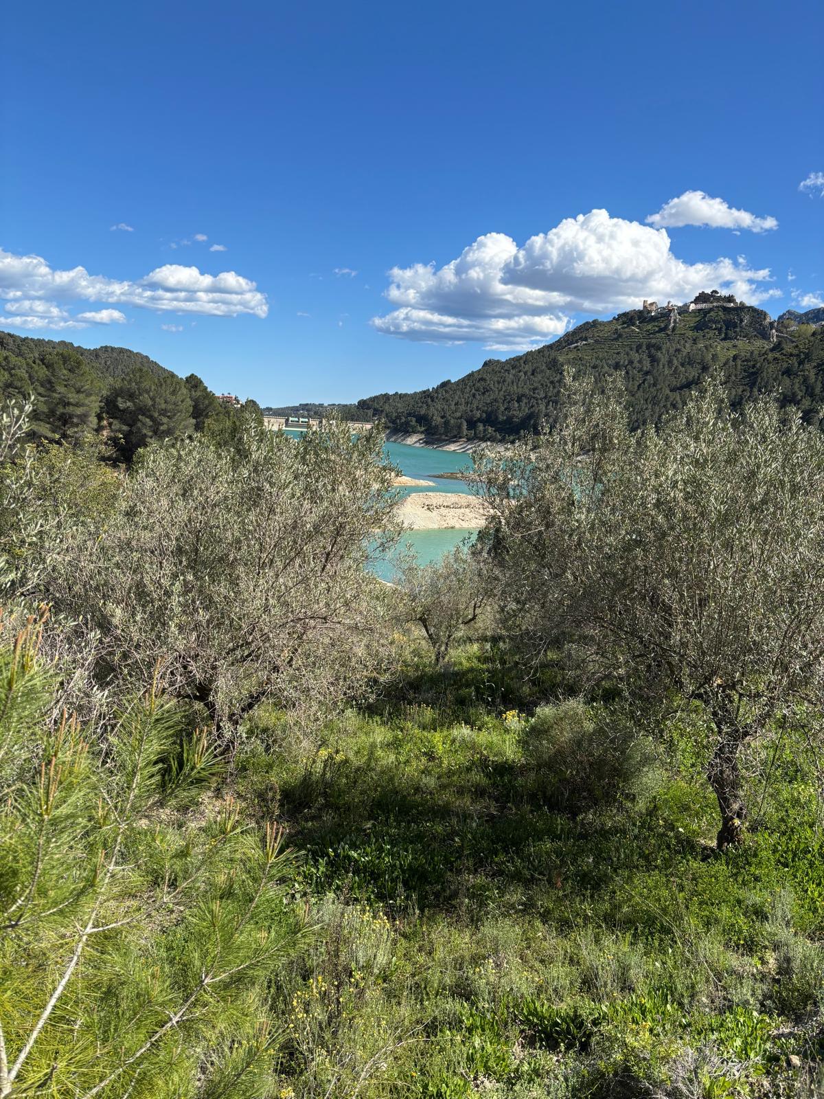 Terreno in vendita a Guadalest, Alicante - 12.000 m² — foto 13